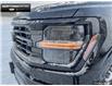 2025 Ford F-150 XLT (Stk: 5F109367) in Brantford - Image 7 of 21