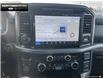 2025 Ford F-150 XLT (Stk: 5F109367) in Brantford - Image 16 of 21