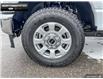 2024 Ford F-250  (Stk: 4F223930) in Brantford - Image 6 of 19