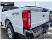 2024 Ford F-250  (Stk: 4F223930) in Brantford - Image 9 of 19