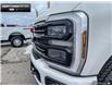 2025 Ford F-250 Platinum (Stk: 5F259551) in Brantford - Image 7 of 23