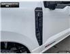 2025 Ford F-250 Platinum (Stk: 5F259551) in Brantford - Image 8 of 23