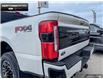 2025 Ford F-250 Platinum (Stk: 5F259551) in Brantford - Image 9 of 23