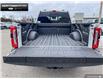 2025 Ford F-250 Platinum (Stk: 5F259551) in Brantford - Image 10 of 23