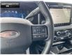 2025 Ford F-250 Platinum (Stk: 5F259551) in Brantford - Image 14 of 23