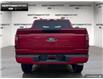 2025 Ford F-150 XLT (Stk: 5F133113) in Brantford - Image 5 of 23