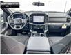2025 Ford F-150 XLT (Stk: 5F133113) in Brantford - Image 22 of 23