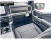 2025 Ford F-150 XLT (Stk: 5F133113) in Brantford - Image 23 of 23