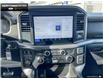 2025 Ford F-150 XLT (Stk: 5F133917) in Brantford - Image 17 of 22