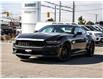 2025 Ford Mustang EcoBoost Premium (Stk: 25MU378) in Toronto - Image 1 of 16