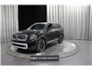 2025 Kia Telluride SX Limited (Stk: 25994) in Edmonton - Image 3 of 28