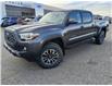 2023 Toyota Tacoma Base (Stk: 24T5861A) in Pincher Creek - Image 4 of 13