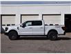 2025 Ford F-150 Tremor (Stk: F51589) in GEORGETOWN - Image 5 of 26
