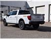 2025 Ford F-150 Tremor (Stk: F51589) in GEORGETOWN - Image 7 of 26