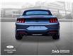 2025 Ford Mustang EcoBoost (Stk: 250276) in Toronto - Image 4 of 18