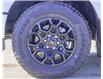 2025 Ford F-150 XLT (Stk: FT257659) in Dawson Creek - Image 7 of 15