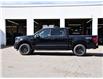 2025 Ford F-150 XLT (Stk: F51623) in GEORGETOWN - Image 5 of 29