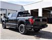 2025 Ford F-150 XLT (Stk: F51623) in GEORGETOWN - Image 7 of 29