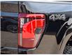 2025 Ford F-150 XLT (Stk: F51623) in GEORGETOWN - Image 9 of 29