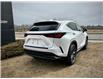 2025 Lexus NX 350 Base (Stk: 250620) in Calgary - Image 3 of 24