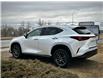 2025 Lexus NX 350 Base (Stk: 250620) in Calgary - Image 4 of 24