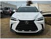 2025 Lexus NX 350 Base (Stk: 250620) in Calgary - Image 6 of 24