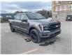 2025 Ford F-150 Lariat (Stk: 0T5114) in Kamloops - Image 26 of 26