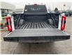 2025 Ford F-250 Platinum (Stk: LFFF00889) in Tilbury - Image 5 of 15