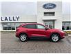 2025 Ford Escape Active (Stk: LFEP00848) in Tilbury - Image 2 of 15