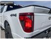2025 Ford F-150 XLT (Stk: 5F174751) in Brantford - Image 9 of 23