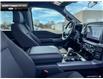 2025 Ford F-150 XLT (Stk: 5F174751) in Brantford - Image 20 of 23