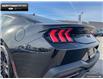 2025 Ford Mustang  (Stk: 5MU3987) in Brantford - Image 9 of 23