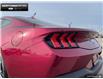 2025 Ford Mustang  (Stk: 5MU8597) in Brantford - Image 9 of 23