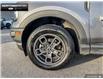 2023 Ford Bronco Sport Big Bend (Stk: DR1017) in Brantford - Image 6 of 23