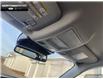 2023 Ford Bronco Sport Big Bend (Stk: DR1017) in Brantford - Image 19 of 23