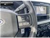 2025 Ford F-250  (Stk: 5F224719) in Brantford - Image 14 of 23