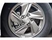 2025 Hyundai Elantra  (Stk: S25398) in Ottawa - Image 3 of 26