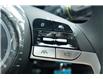 2025 Hyundai Elantra  (Stk: S25398) in Ottawa - Image 19 of 26