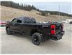 2025 Ford F-350 XL (Stk: 5T027) in Williams Lake - Image 3 of 13