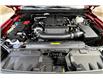 2025 Nissan Frontier PRO-4X (Stk: 1196BNN) in Owen Sound - Image 11 of 13
