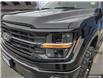 2025 Ford F-150 XLT (Stk: TS075) in Kamloops - Image 9 of 31