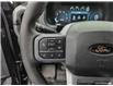 2025 Ford F-150 XLT (Stk: TS075) in Kamloops - Image 20 of 31