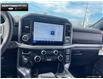 2025 Ford F-150 XLT (Stk: 5F167614) in Brantford - Image 17 of 23