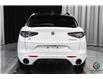 2025 Alfa Romeo Stelvio Tributo (Stk: AR2533) in Edmonton - Image 6 of 29