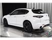 2025 Alfa Romeo Stelvio Tributo (Stk: AR2533) in Edmonton - Image 7 of 29
