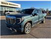 2025 GMC Sierra 1500 Denali (Stk: 35205) in Renfrew - Image 1 of 37