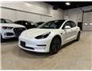 2021 Tesla Model 3 Standard Range Plus (Stk: P13696) in Calgary - Image 1 of 16