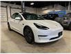 2021 Tesla Model 3 Standard Range Plus (Stk: P13696) in Calgary - Image 7 of 16