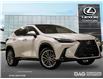 2025 Lexus NX 350 Base (Stk: 25434) in Toronto - Image 1 of 21