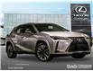 2025 Lexus UX 300h Base (Stk: 25439) in Toronto - Image 1 of 23